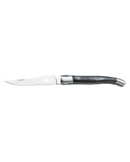 COLTELLO DA TASCA LIGUIOLE cm 21,5