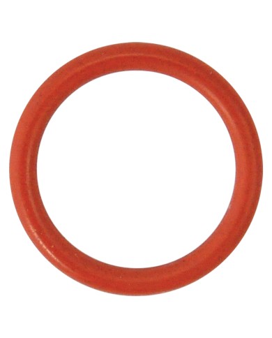 GUARNIZIONE O-RING PER PERNO per