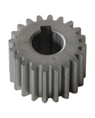 INGRANAGGIO Per motoriduttore REBER HP 0,3
