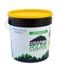 PITTURA AL QUARZO LISCIO ANTIMUFFA