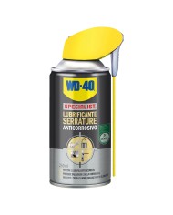 LUBRIFICANTE SERRATURE SPRAY ml 250