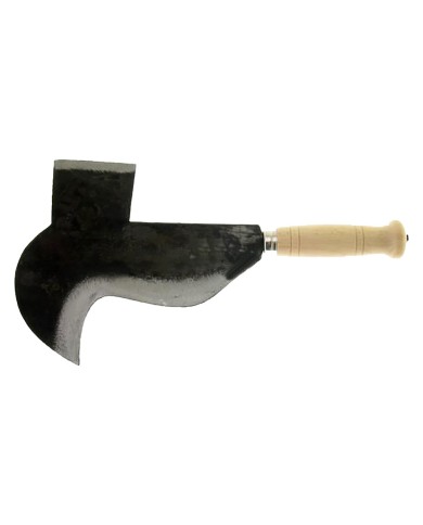 PENNATO FROSINONE cm 22