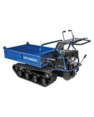 MOTOCARRIOLA A CINGOLI 65910 carico 500 kg max